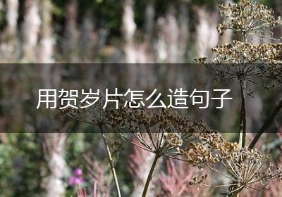用贺岁片怎么造句子
