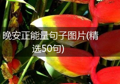 晚安正能量句子图片(精选50句)