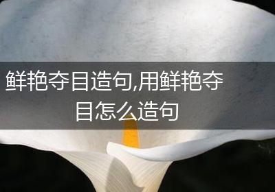 鲜艳夺目造句,用鲜艳夺目怎么造句