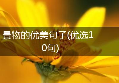 景物的优美句子(优选10句)