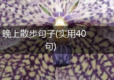晚上散步句子(实用40句)