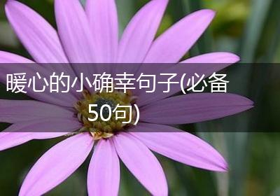暖心的小确幸句子(必备50句)