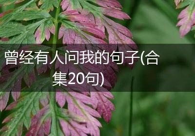 曾经有人问我的句子(合集20句)