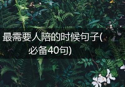 最需要人陪的时候句子(必备40句)