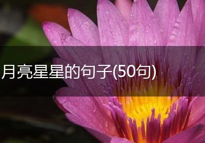 月亮星星的句子(50句)