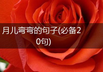 月儿弯弯的句子(必备20句)