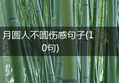 月圆人不圆伤感句子(10句)