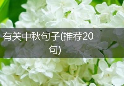 有关中秋句子(推荐20句)
