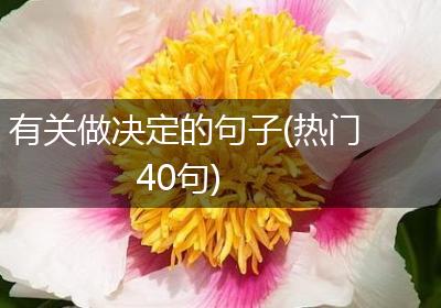 有关做决定的句子(热门40句)