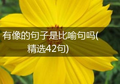 有像的句子是比喻句吗(精选42句)