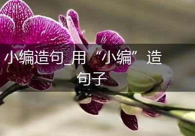 小编造句_用“小编”造句子