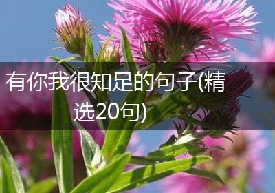 有你我很知足的句子(精选20句)