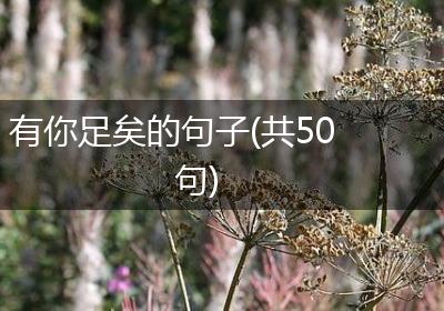有你足矣的句子(共50句)