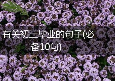 有关初三毕业的句子(必备10句)