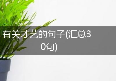 有关才艺的句子(汇总30句)