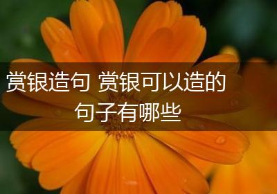 赏银造句 赏银可以造的句子有哪些