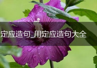 定应造句_用定应造句大全