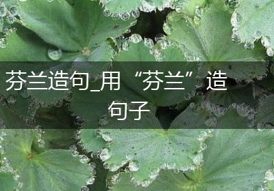 芬兰造句_用“芬兰”造句子