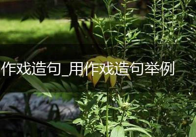 作戏造句_用作戏造句举例