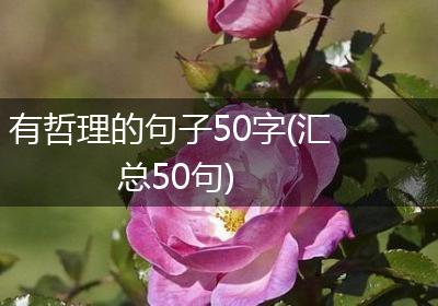 有哲理的句子50字(汇总50句)