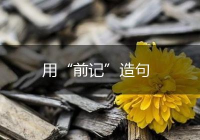 用“前记”造句