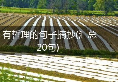 有哲理的句子摘抄(汇总20句)