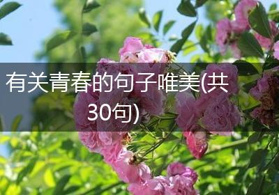 有关青春的句子唯美(共30句)