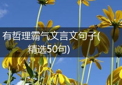 有哲理霸气文言文句子(精选50句)