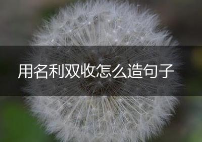 用名利双收怎么造句子