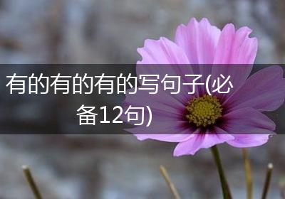 有的有的有的写句子(必备12句)