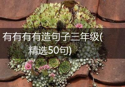 有有有有造句子三年级(精选50句)
