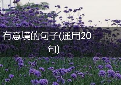 有意境的句子(通用20句)
