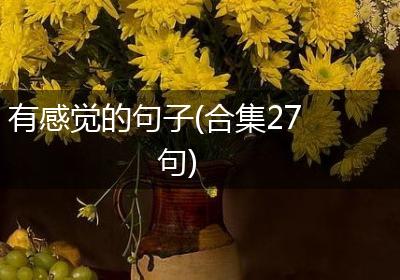 有感觉的句子(合集27句)