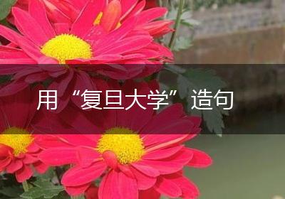 用“复旦大学”造句