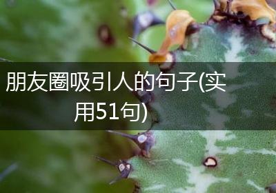 朋友圈吸引人的句子(实用51句)