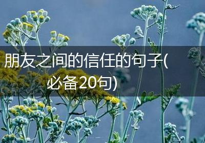 朋友之间的信任的句子(必备20句)