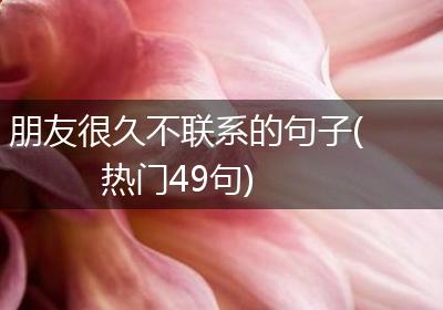朋友很久不联系的句子(热门49句)