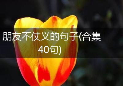 朋友不仗义的句子(合集40句)