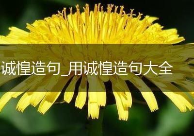 诚惶造句_用诚惶造句大全