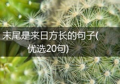 末尾是来日方长的句子(优选20句)