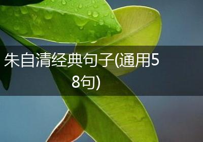 朱自清经典句子(通用58句)