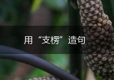 用“支楞”造句
