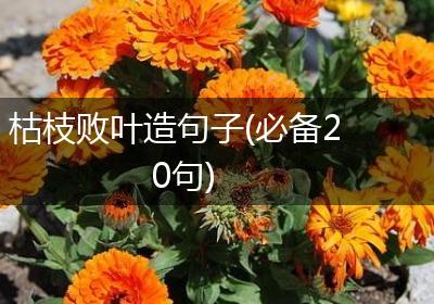 枯枝败叶造句子(必备20句)