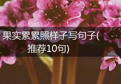 果实累累照样子写句子(推荐10句)
