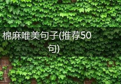 棉麻唯美句子(推荐50句)
