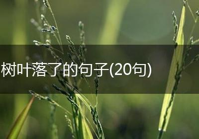 树叶落了的句子(20句)