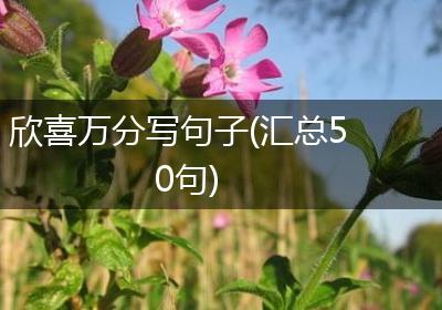 欣喜万分写句子(汇总50句)