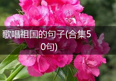 歌唱祖国的句子(合集50句)