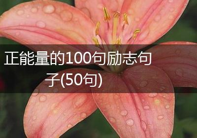 正能量的100句励志句子(50句)