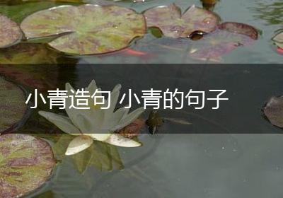 小青造句 小青的句子